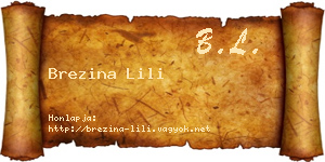 Brezina Lili névjegykártya